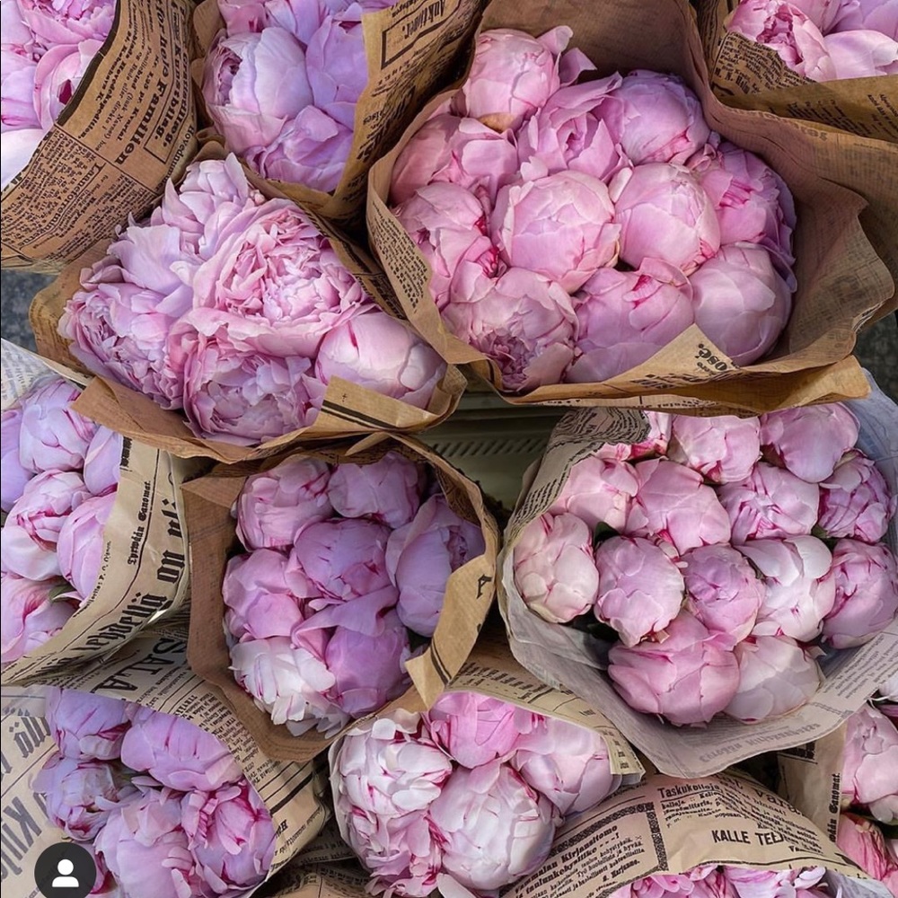 Meet your Posher, Luisa